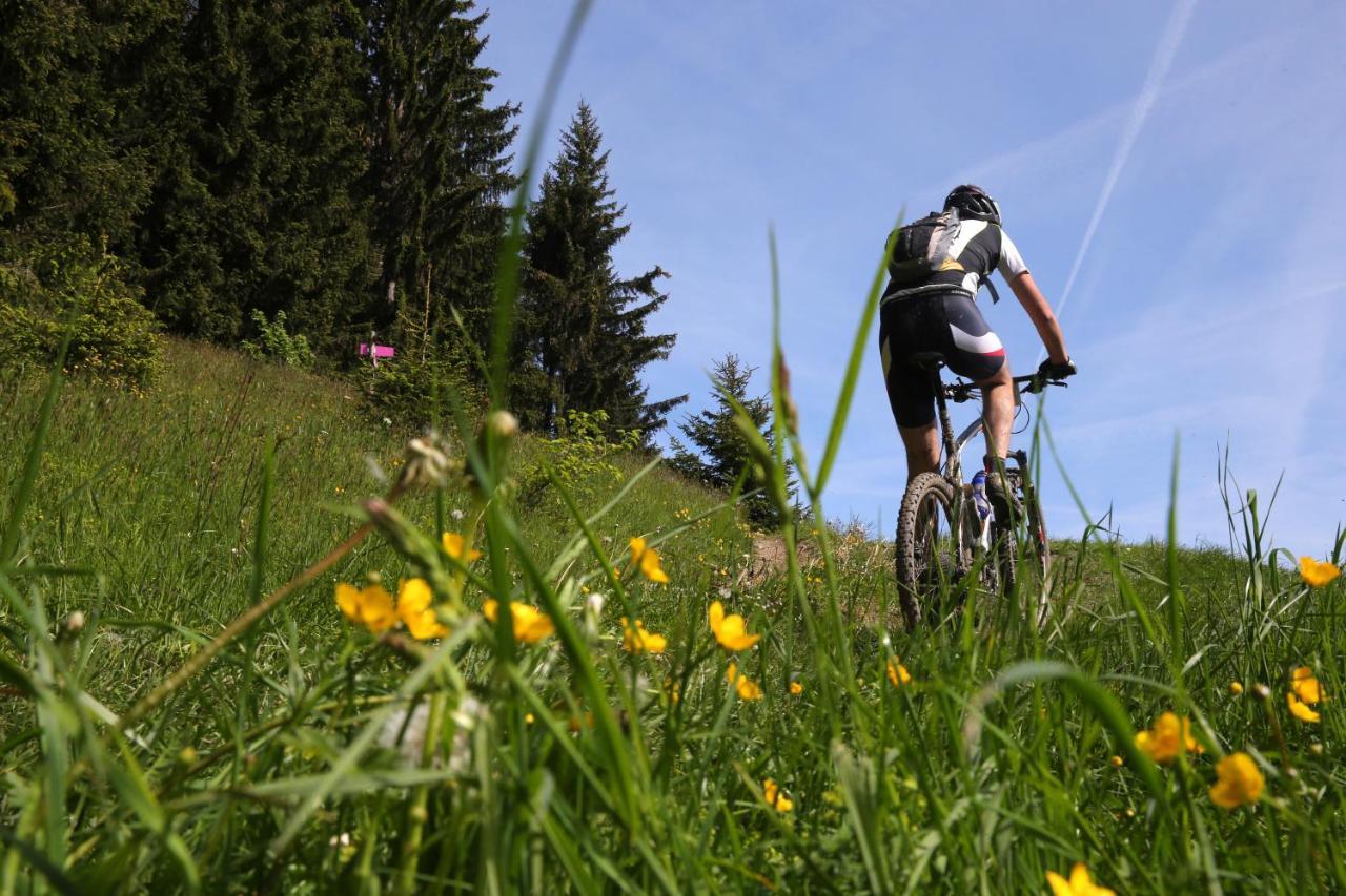 Les Cristaux Bed and Breakfast Saint-Gervais-les-Bains Eksteriør billede